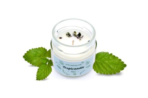 Tropikalia Tropicandle - Melissa (Medovka)